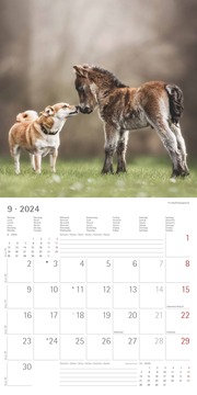 Tierfreundschaften 2024 - Abbildung 10