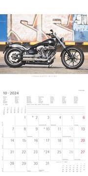 Harleys 2024 - Abbildung 10