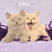 Funny Cats 2024 - Cover