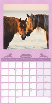 Mein Pferdekalender 2024 - Illustrationen 10