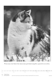 Der große poetische Katzenkalender 2024 - Illustrationen 1