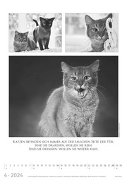 Der große poetische Katzenkalender 2024 - Illustrationen 4