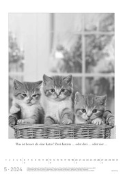 Der große poetische Katzenkalender 2024 - Illustrationen 5