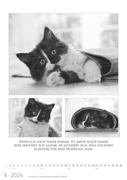 Der große poetische Katzenkalender 2024 - Illustrationen 6
