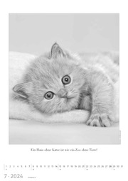 Der große poetische Katzenkalender 2024 - Illustrationen 7