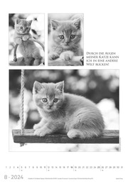 Der große poetische Katzenkalender 2024 - Illustrationen 8