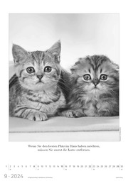 Der große poetische Katzenkalender 2024 - Illustrationen 9