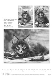 Der große poetische Katzenkalender 2024 - Illustrationen 10