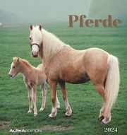 Pferde 2024 - Cover