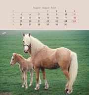 Pferde 2024 - Abbildung 8