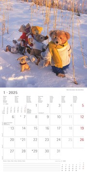Teddy 2025 - Broschürenkalender 30x30 cm (30x60 geöffnet) - Kalender mit Platz für Notizen - Bildkalender - Wandkalender - mit herausnehmbarem Poster - Abbildung 1