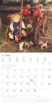 Teddy 2025 - Broschürenkalender 30x30 cm (30x60 geöffnet) - Kalender mit Platz für Notizen - Bildkalender - Wandkalender - mit herausnehmbarem Poster - Abbildung 2
