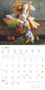 Teddy 2025 - Broschürenkalender 30x30 cm (30x60 geöffnet) - Kalender mit Platz für Notizen - Bildkalender - Wandkalender - mit herausnehmbarem Poster - Abbildung 4