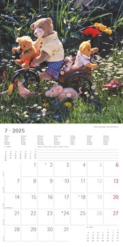 Teddy 2025 - Broschürenkalender 30x30 cm (30x60 geöffnet) - Kalender mit Platz für Notizen - Bildkalender - Wandkalender - mit herausnehmbarem Poster - Abbildung 7