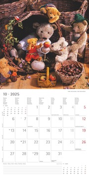 Teddy 2025 - Broschürenkalender 30x30 cm (30x60 geöffnet) - Kalender mit Platz für Notizen - Bildkalender - Wandkalender - mit herausnehmbarem Poster - Abbildung 10