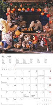 Teddy 2025 - Broschürenkalender 30x30 cm (30x60 geöffnet) - Kalender mit Platz für Notizen - Bildkalender - Wandkalender - mit herausnehmbarem Poster - Abbildung 12