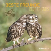 Beste Freunde 2025 - Broschürenkalender 30x30 cm (30x60 geöffnet) - Kalender mit Platz für Notizen - Best Friends - Bildkalender - Wandkalender - Cover