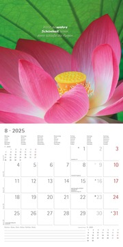 Zen 2025 - Broschürenkalender 30x30 cm (30x60 geöffnet) - Kalender mit Platz für Notizen - mit Lebensweisheiten - Bildkalender - Wandkalender - Illustrationen 8