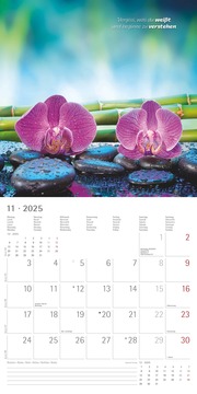 Zen 2025 - Broschürenkalender 30x30 cm (30x60 geöffnet) - Kalender mit Platz für Notizen - mit Lebensweisheiten - Bildkalender - Wandkalender - Illustrationen 11