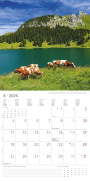Alpen 2025 - Broschürenkalender 30x30 cm (30x60 geöffnet) - Kalender mit Platz für Notizen - The Alps - Bildkalender - Wandplaner - Naturkalender - Illustrationen 8