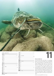 Der große Angelkalender 2025 - Bildkalender A3 (29,7x42 cm) - mit vielen Zusatzinformationen aus der Anglerwelt und Platz für Notizen - Wandkalender - Illustrationen 11