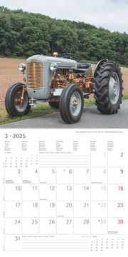 Traktoren Classics 2025 - Broschürenkalender 30x30 cm (30x60 geöffnet) - Kalender mit Platz für Notizen - Bildkalender - Wandplaner - Wandkalender - Abbildung 3