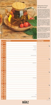 Kräuter & Gewürze 2025 - Streifenkalender 22x45 cm - mit Extraspalte für Geburtstage - Küchentipps und Mondphasen - Wandkalender - Terminplaner - Illustrationen 3