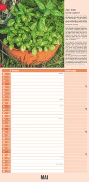 Kräuter & Gewürze 2025 - Streifenkalender 22x45 cm - mit Extraspalte für Geburtstage - Küchentipps und Mondphasen - Wandkalender - Terminplaner - Illustrationen 5