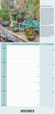 Kräuter & Gewürze 2025 - Streifenkalender 22x45 cm - mit Extraspalte für Geburtstage - Küchentipps und Mondphasen - Wandkalender - Terminplaner - Illustrationen 11