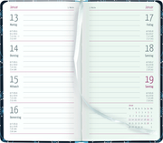 Slimtimer Style Pusteblume 2025 - Taschen-Kalender 9x15,6 cm - Weekly - 128 Seiten - Notiz-Buch - mit Info- und Adressteil - Alpha Edition - Abbildung 1