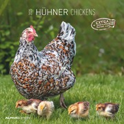 Hühner 2025 - Broschürenkalender 30x30 cm (30x60 geöffnet) - Kalender mit Platz für Notizen - Hühner - Bildkalender - Wandkalender - Hühnerkalender