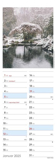 Gartenzauber 2025 - Streifenkalender 15x42 cm - mit viel Platz für Eintragungen - Gärten - Bildkalender - Wandplaner - Gartenkalender - Illustrationen 1