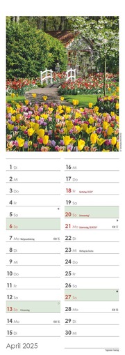 Gartenzauber 2025 - Streifenkalender 15x42 cm - mit viel Platz für Eintragungen - Gärten - Bildkalender - Wandplaner - Gartenkalender - Illustrationen 4
