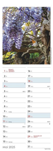 Gartenzauber 2025 - Streifenkalender 15x42 cm - mit viel Platz für Eintragungen - Gärten - Bildkalender - Wandplaner - Gartenkalender - Illustrationen 5