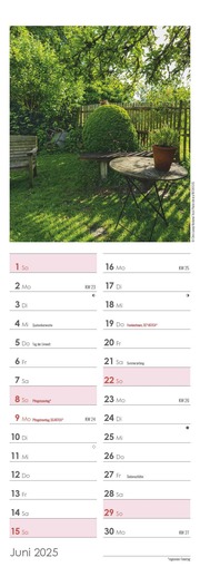 Gartenzauber 2025 - Streifenkalender 15x42 cm - mit viel Platz für Eintragungen - Gärten - Bildkalender - Wandplaner - Gartenkalender - Illustrationen 6