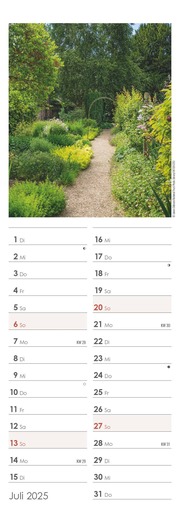 Gartenzauber 2025 - Streifenkalender 15x42 cm - mit viel Platz für Eintragungen - Gärten - Bildkalender - Wandplaner - Gartenkalender - Illustrationen 7