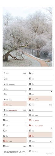 Gartenzauber 2025 - Streifenkalender 15x42 cm - mit viel Platz für Eintragungen - Gärten - Bildkalender - Wandplaner - Gartenkalender - Illustrationen 12