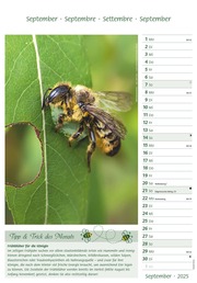 Bienen 2025 23,7x34 - Abbildung 9
