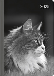 Lady Journal Cat 2025 - Taschenkalender A6 (10,7x15,2 cm) - Weekly - 192 Seiten - Notiz-Buch - Termin-Planer - Alpha Edition