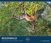 Regenwald 2025 - Bild-Kalender - Poster-Kalender - 60x50