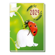 Taschenkalender A7 Marienkäfer 2024 - Cover