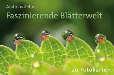 Faszinierende Blätterwelt - Cover