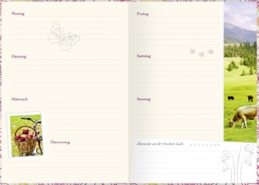 Notizbuch 'Dankbarkeits-Tagebuch' - Abbildung 1