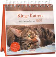 Kluge Katzen - Wochen-Kalender 2020 - Cover