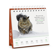 Kluge Katzen - Wochen-Kalender 2020 - Abbildung 3