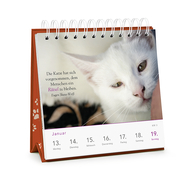 Kluge Katzen - Wochen-Kalender 2020 - Abbildung 5