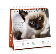 Kluge Katzen - Wochen-Kalender 2020 - Abbildung 9