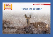 Tiere im Winter / Kamishibai Bildkarten