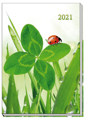 Taschenkalender Marienkäfer 2021