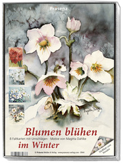 KK-Box Blumen blühen im Winter